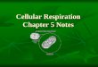Cellular Respiration Chapter 5 Notes - OPRFHS Science ...bohneoprfhs.weebly.com/.../ch_5_cellular_respiration_ppt_2014.pdf · Cellular Respiration Chapter 5 Notes . ... Cellular Respiration