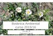 Botánica Ambiental curso 2015/16¡nica... · Módulo I: Ecosistemas vegetales y medio natural. Bioclimatología. Biogeografía. Geobotánica. • Tema 1. Ecosistemas. • Tema 2: