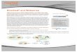 Riverbed and Websense BRIEF: Riverbed and Websense 2 The Riverbed and Websense Integrated Solution Provides: • Real-time Web 2.0 content control and security scanning using analytics,