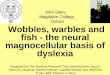 Wobbles, warbles and fish - the neural magnocellular basis ... · Wobbles, warbles and fish - the neural magnocellular basis of dyslexia John Stein, Magdalen College, Oxford Supported
