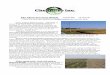 Crop Watch 6 - Greg Dyer · The Chem Gro Crop Watch, Issue #6, 11/6/13 Lonne Fry, CCA, Sales Agronomist, lfry@chemgroil.com , 309-221-5000 Green soybean plants mystery…SOLVED!