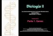 Mendoza, L. et al., Biología II Examen Parte 1. Genes · Señale la palabra cuyo significado sea más cercano o sinónimo de CODÓN: A. Tres pares de bases nitrogenadas B. Combinación