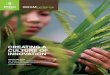 CREATING A CULTURE OF INNOVATION - Oxfam America · creating a culture of innovation also in this issue: 100 years strong: international women’s day ... toby adamson / oxfam