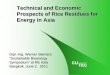 Technical and Economic Prospects of Rice Residues for ... · Technical and Economic Prospects of Rice Residues for ... of food production Husks and straw are/had been burnt for “waste