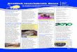 Scottish Invertebrate News 1 - buglife.org.uk · Scottish Invertebrate News: ... agricultural, medical and technological benefits, are ... Diplopoda 3 Millipedes 62 43 69%