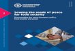 Sowing the seeds of peace for food security: Disentangling ... · Sowing the seeds of peace for food security Disentangling the nexus between con ict, food security and peace ISSN