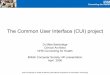 The Common User Interface (CUI) project - bcs.org · NHS Connecting for Health is delivering the National Programme for Information Technology The Common User Interface (CUI) project