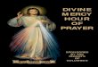 DIVINE MERCY HOUR OF PRAYER - Catholic Diocese of …cdop.org/wp-content/uploads/2015/11/Divine-Mercy-Prayer-Book-KC.pdf · DIVINE MERCY HOUR OF PRAYER. ... nations to the practice