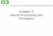 Chapter 3: Neural Processing and Perception - mywang/sen/   Chapter 3: Neural Processing