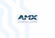 amx brochure dps 12 08 13 - Amazon Web Serviceshabitech.s3.amazonaws.com/PDFs/AMX/AMX_Habitech_Brochure.pdf · FLASH Memory 32MB 32MB 2GB CF card 2GB CF card 256MB ... 3G, GPRS and