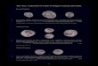The M.L. Collection of Coins of Magna Graecia and Sicily · 9 The M.L. Collection of Coins of Magna Graecia and Sicily Etruria, Populonia 1 1 20 Asses circa 300-250, AR 7.99 g Gorgoneion