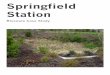 Springfield Station - WordPress.com · Springfield Station Bioswale Case Study By: Hannah Cooley and Stefanie Young University of Oregon Arch 497 Walter Grondzik June 1, 2006 UPDATED: