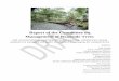 Committee Report on Trees Alongside of Roads - Connecticut · Bradford Robinson Program Leader Pesticide Program Engineering and Enforcement Division ... the beautification of City