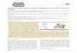 Leukotriene Biosynthesis Inhibitor MK886 Impedes DNA ...structbio.vanderbilt.edu/~eglim/journals/180.pdf · compounds identiﬁed several ﬁrst generation proof-of-principle inhibitors
