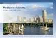 Pediatric Asthma - Boston College Home Page ·  · 2017-07-05Pediatric Asthma Christina Ferreri, DNP, APRN. DISCLOSURES • There has been no commercial support or sponsorship for