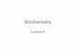 Biochemistrybonhamchemistry.com/wp-content/uploads/2015/07/Lecture_6.pdf · Figure 4-27 Lehninger Principles of Biochemistry, Fifth Edition 2008 W. H. Freeman and Company Beginning