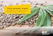 The green light - Canadian cannabis retail market entry ... · 4 The green light Canadian cannabis retail market entry strategy Dynamic operating model ... • Tobacco-like restrictions