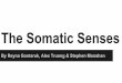 The Somatic Senses - .The Somatic Senses What is the difference between somatic and special senses?