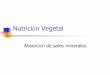 Nutrición Vegetalmorfo-fisio-vegetal.yolasite.com/resources/Nutrición Vegetal2.pdf · provienen del intercambio con iones de la solución del suelo, mediante mecanismos de intercambio
