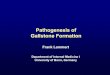 Pathogenesis of Gallstone Formation - Falk Aktuell · c.957C>T (stop codon) ... Pathophysiology. Genotype Bilirubin (mg/dl) ... Pathogenesis of Gallstone Formation Genetic factors
