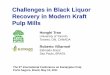 Challenges in Black Liquor Recovery in Modern Kraft … · Challenges in Black Liquor Recovery in Modern Kraft Pulp Mills ... Ring/ball formation ... Mill Features Located mostly