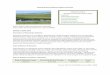 Wyoming State Wetland Program Summary · Wyoming State Wetland Program Summary ... Outdoor Recreation Plan that includes a chapter on ... Wyoming Department of Environmental Quality
