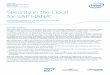 Security in the Cloud for SAP HANA - Intel · v2 family have eclipsed today s RISC/ ... Achieving full value from SAP HANA requires integrating and analyzing core ... 4 Security in