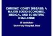 CHRONIC KIDNEY DISEASE: A MAJOR SOCIO …uremic-toxins.org/documents/Renal-Failure-EUTox-Vanholder.pdf · CHRONIC KIDNEY DISEASE: A MAJOR SOCIO-ECONOMIC, MEDICAL AND SCIENTIFIC CHALLENGE