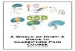 A World of Hurt: A Guide to Classifying Pain of hurt course May 2016.pdfA World of Hurt: A Guide to
