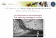 FVE Seminar on ‘Stray Dogs: present and future Dog Seminar/OIE.pdf* Content OIE stray dog strategy in Europe Stray Dog Self-Assessment and Monitoring Tool Regional Roadmaps (Balkans,