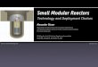 Small Modular Reactors - Nuclear Regulatory … Modular Reactors ... Current focus is on light-water reactor concepts for SMRs Reactor design choices and fuel-cycle architectures determine