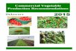 Extension Bulletin 137 Commercial Vegetable Production ... · Commercial Vegetable Production Recommendations for Delaware ... Broccoli, Brussels Sprouts, Cabbage, Cauliflower 
