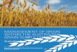 MAnAGEMEnt oF GrAin Within thE AustrAliAn GrAin suPPly ChAin · Compiled on behalf of the Australian Grain Industry by: ... minimum requirements of all involved in the Australian