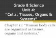 Grade 8 Science Unit 4: “Cells, Tissues, Organs & Systems”mail.nlesd.ca/~david_cashin/Sci 8/8Unit4Ch11Slideshow09.pdf · Grade 8 Science Unit 4: “Cells, Tissues, Organs & Systems”