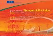 European SmartGrids Technology Platform · PDF fileCouncil of the technology platform ”SmartGrids” proposes that Europe should move forward in different ways in these important