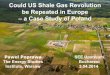 Could US Shale Gas Revolution be Repeated in Europe – a ... · Could US Shale Gas Revolution be Repeated in Europe – a Case Study of Poland ... Chevron, Nexen, Total, (ExxonMobil,