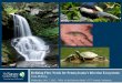 Defining Flow Needs for Pennsylvania’s Riverine … Flow Needs for Pennsylvania’s Riverine Ecosystems Tara Moberg Wednesday, Nov. 7, 2012 – WRA of the Delaware Basin’s 53RD