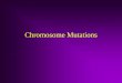 Chromosome Mutations - Warner Pacific Collegeclasspages.warnerpacific.edu/bdupriest/BIO 250/Lecture 6... · 2016-09-26 · Variation in Chromosome Number • Euploidy: having full