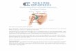 Shoulder Osteoarthritis and Shoulder Replacement · 2018-04-02 · The head of your upper arm bone fits into a rounded socket in your shoulder blade. ... Microsoft Word - Shoulder