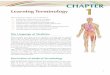 Chapter 1 Learning Terminology - southsevierhigh.org€¦ · Learning Terminology After studying this chapter, ... 1.5 Define common medical combining forms 1.6 List ... roots and