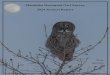 Manitoba Nocturnal Owl Survey 2014 Annual Report - 2014 Manitoba's...Manitoba Nocturnal Owl Survey 2014 Annual Report ... This 2014 Manitoba Nocturnal Owl Survey Annual Report is dedicated