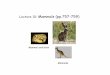 Mammal evolution Mammals - Laramie, Wyoming · Mammal evolution Mammals . The bottom of the ocean is a nearly constant temperature. Hence, sea cucumbers living at the bottom of …
