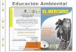 Presentación de PowerPoint - movimientom4.org · Departamento o al Grupo de Quimica Ambiental y Computacional. Universidad de Cartagena. Campus de Zaragocilla. Facultad de Ciencias