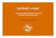 –an underutilized genetic resource in Nordic wheat … · –an underutilized genetic resource in Nordic wheat breeding Morten Lillemo, IPM, UMB. NORWEGIAN UNIVERSITY OF LIFE SCIENCES