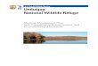 U.S. Fish & Wildlife Service Umbagog - fws.gov · States of New Hampshire and Maine, conservation organizations, ... Conservation Plan ... Water levels of the Rangeley Lakes chain,