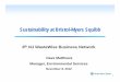 Sustainability at Bristol-Myers Squibb - ANJR Squibb.pdf · Sustainability at Bristol-Myers Squibb ... • Achieve injury and illness rates in top 25% of pharmaceutical industry 