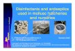 Disinfectants and antiseptics used in mollusc hatcheries ... pm/icsr05... · Disinfectants and antiseptics used in mollusc hatcheries and nurseries C. FRANCOIS cfrancoi@ifremer.fr