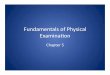 Fundamentals of Physical Examinaon · – Pectus carinatum – Pectus excavatum ... RT254PhysicalExam.ppt Author: Abby Erickson Created Date: 1/12/2009 6:38:47 AM 
