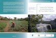Trends in the Hydrology - Food and Agriculture ... · i . Trends in the hydrology of small watersheds . in the Fouta Djallon Highlands . By . Veerle Verschoren . FOOD AND AGRICULTURE