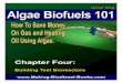 Algae Biofuels master - Making Biodiesel Books.commaking-biodiesel-books.com/.../2016/07/Algae-Biofuels